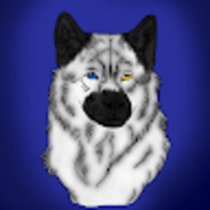 Meet your Posher, Ash